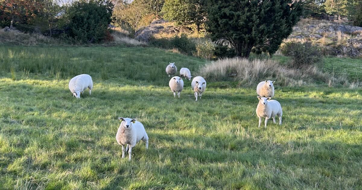 Amerikanska moln är inte riskfria